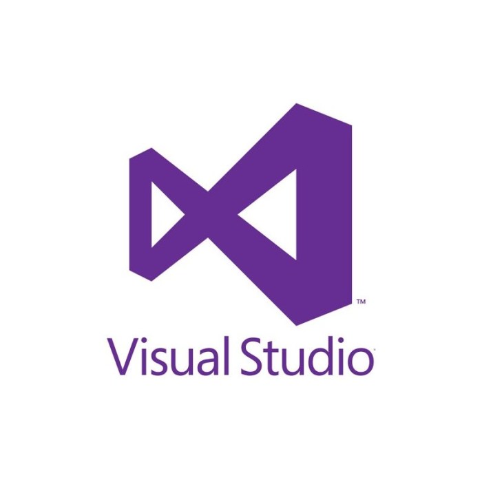 Microsoft visual studio professional