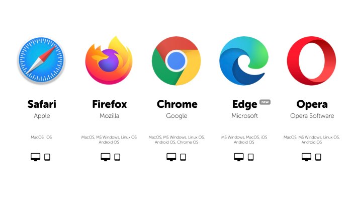 Apples allowance for non webkit web browsers in the eu has web developers worried about unexpected support consequences