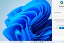 Copilot windows 10 preview