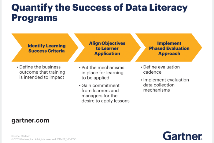 What is data literacy