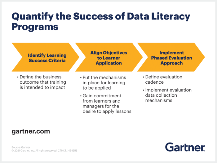 What is data literacy