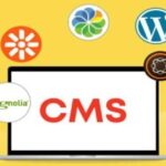 Best cms platforms for developers