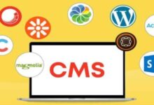 Best cms platforms for developers