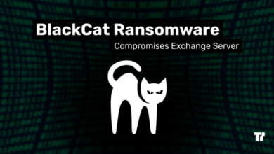 Blackcat ransomware site seized in international takedown effort