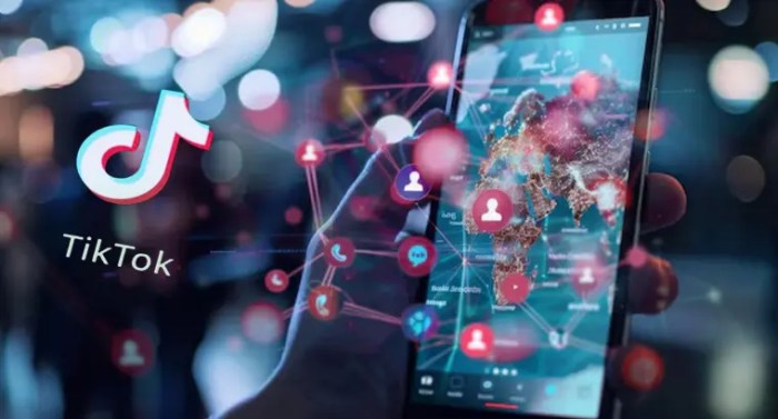 Timeline evolution tracing