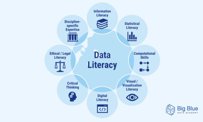 What is data literacy