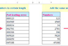 Leading zeros add excel numbers number doc pad