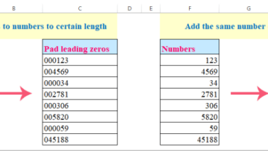 Leading zeros add excel numbers number doc pad