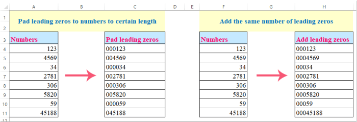 Leading zeros add excel numbers number doc pad