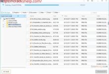 Easeus data recovery wizard lifetime license