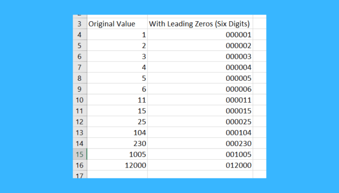 Entering leading zeroes in excel