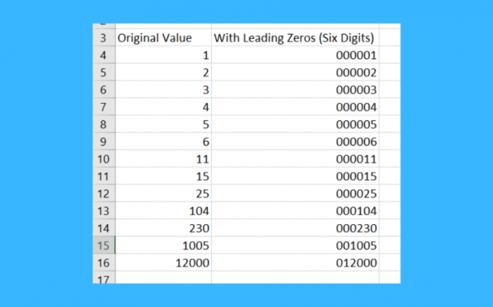 Entering leading zeroes in excel