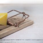 Free vpn vs paid vpn