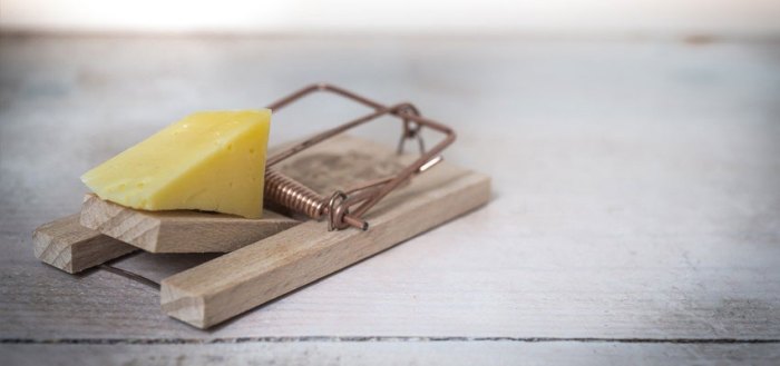 Free vpn vs paid vpn