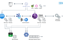 Ibm software ag enterprise data integration acquisition