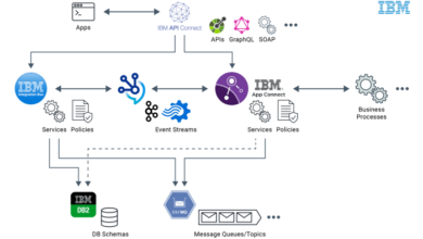 Ibm software ag enterprise data integration acquisition