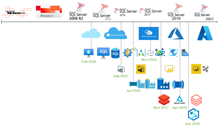 Microsoft intelligent data platform