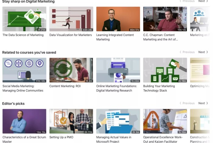 Linkedin learning ai courses