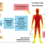 Future apple watches could measure your core body temperature and make your thermometer useless