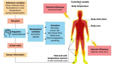 Future apple watches could measure your core body temperature and make your thermometer useless