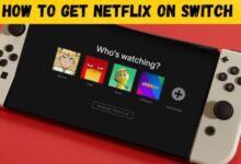 How watch netflix nintendo switch