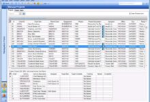 Accounting project management software