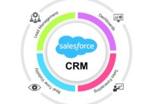 Salesforce ai crm data management