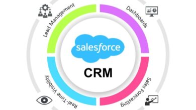 Salesforce ai crm data management