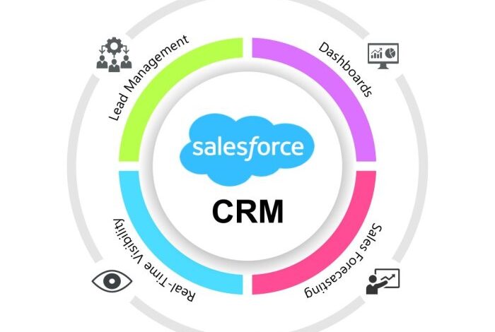 Salesforce ai crm data management