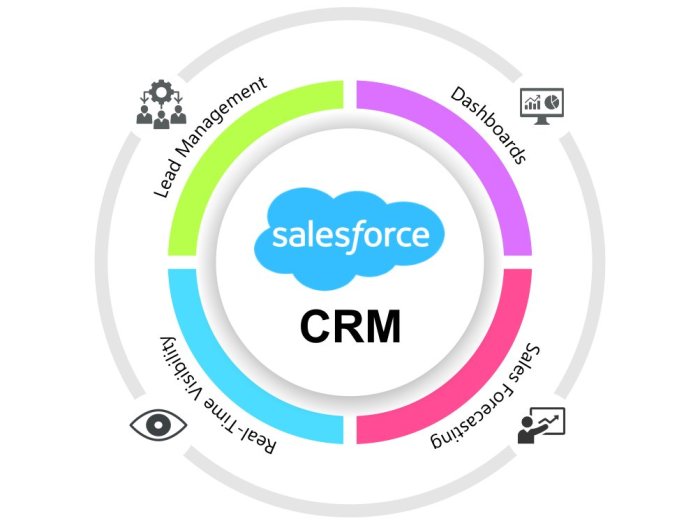 Salesforce einstein ai crm transforming business sales need know do system datixinc Salesforce ai crm data management
