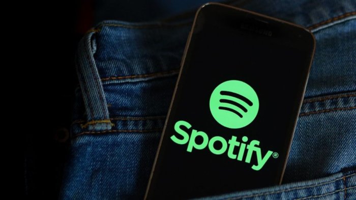 Apple dragging its heels with eu compliance spotify says its subscription pricing update has been blocked