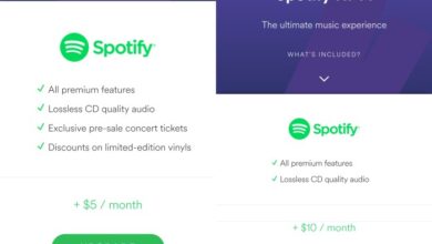 Spotifys lossless music support could finally be on the way via the music pro add on instead of a whole new tier