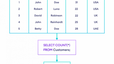 Number report records in access