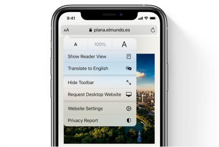 How quickly translate webpages safari iphone and ipad