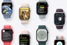 Apples next watch update will be fairly minor watchos 11 wont be the highlight of wwdc as rumored new features remain elusive