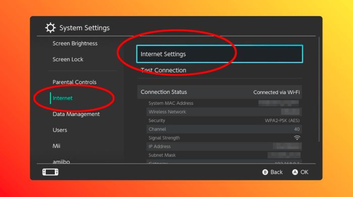 Windowsreport enable How use hidden web browser nintendo switch