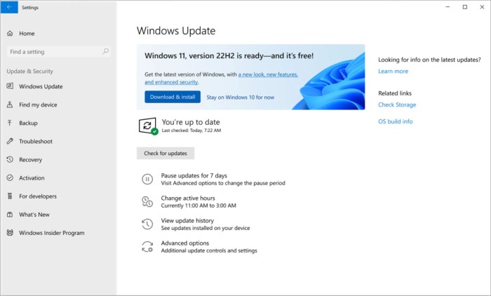 Install windows 11 22h2 update