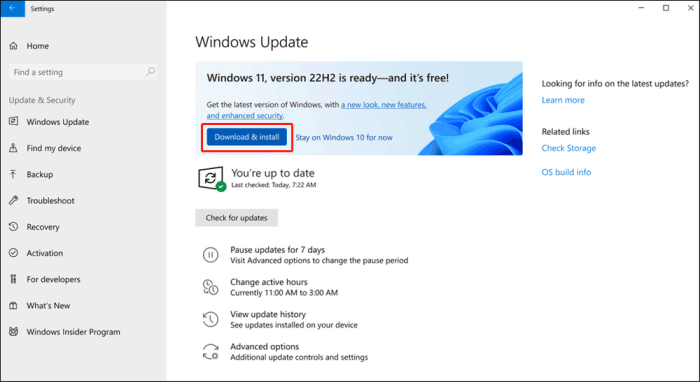 Install windows 11 22h2 update