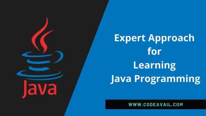 Learn java coder bundle