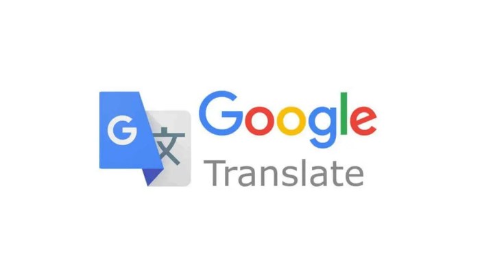 Translate google language sheets code ionos function codes digitalguide selection