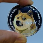 DOGE targets government media subscriptions after MAGA attacks