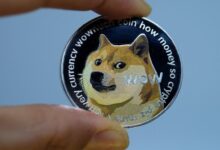 DOGE targets government media subscriptions after MAGA attacks