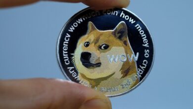 DOGE targets government media subscriptions after MAGA attacks