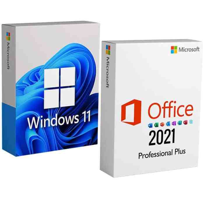 Windows 11 pro top microsoft office programs 60