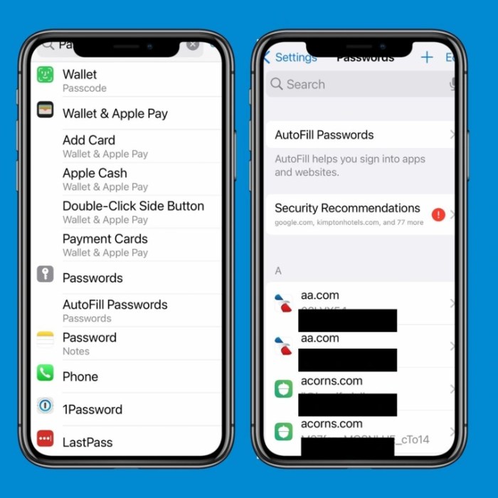 Apples new ios 18 passwords app arrives with a secret superpower