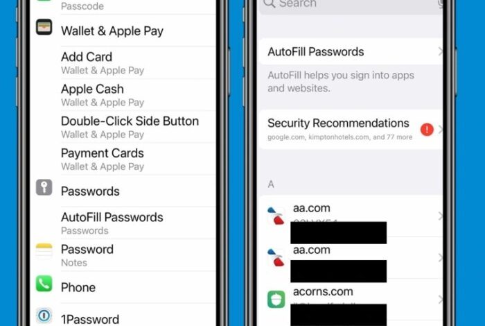 Apples new ios 18 passwords app arrives with a secret superpower