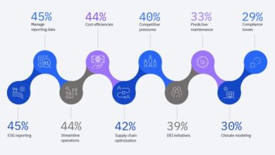 Ibm global ai adoption index