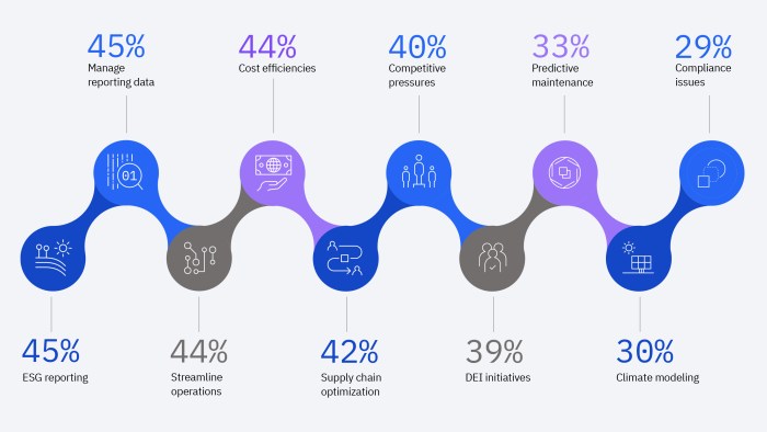 Ibm global ai adoption index