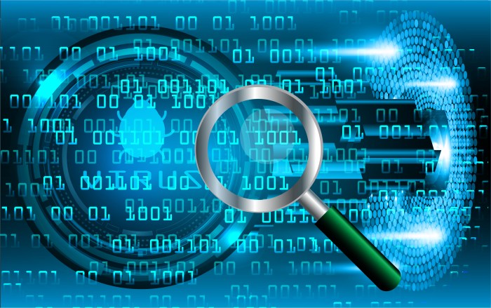 Data literacy risks informatica interview