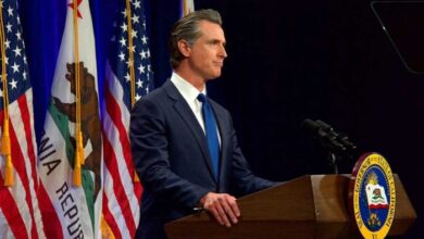 Gavin newsom veto california ai bill